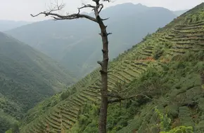 Xikeng Village