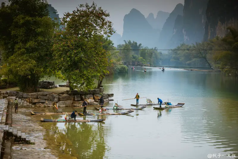 Camel Crossing The River
