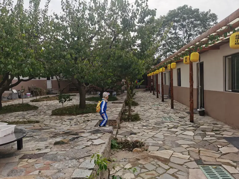 Apricot Garden Picking
