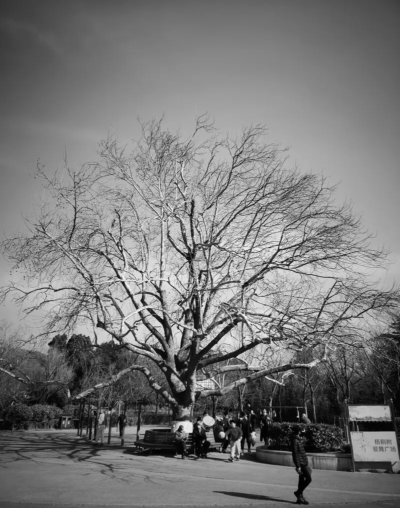 Sun Yat-Sen Statue