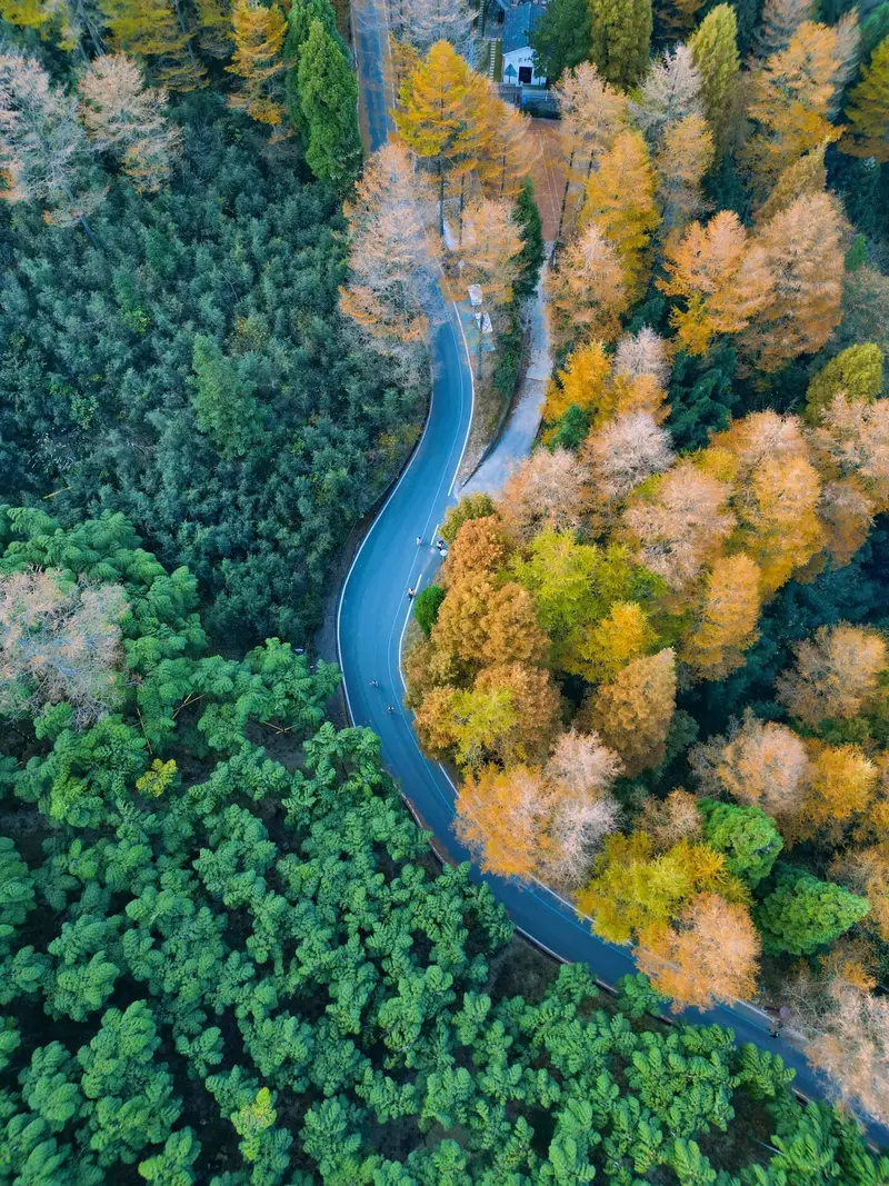 China Jinqiansong National Forest Park
