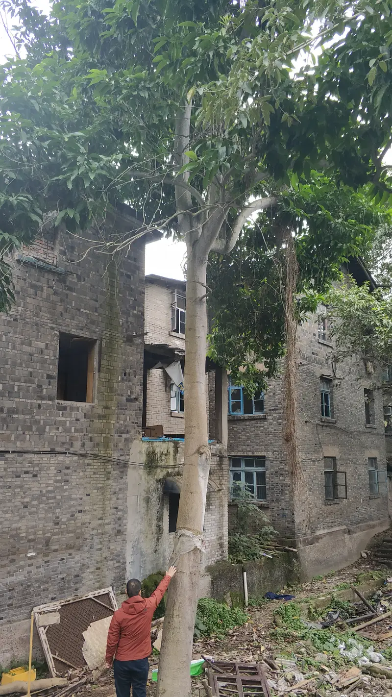 Wangjiang Hot Spring