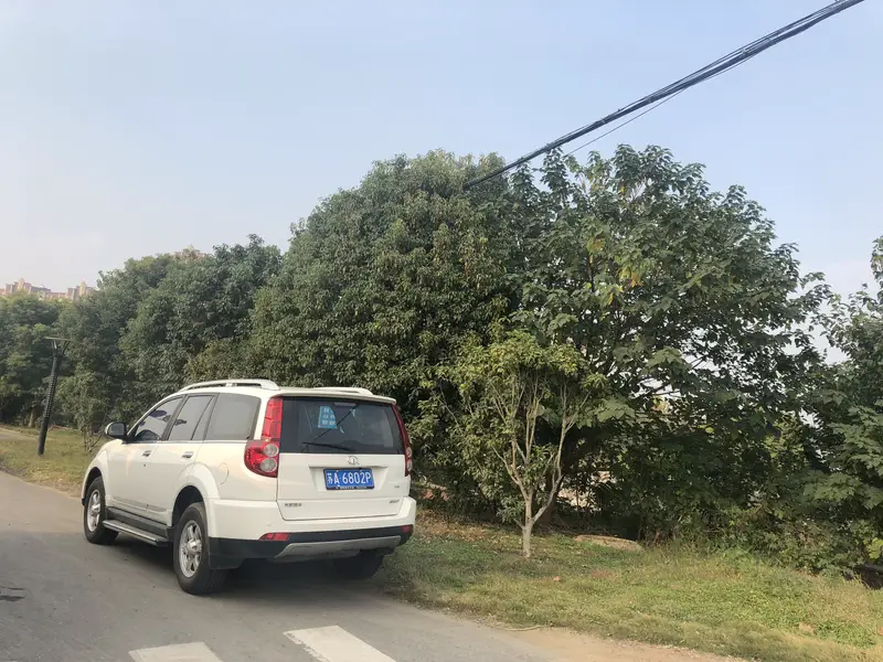 Zhongshan Science And Technology Park Commercial Street