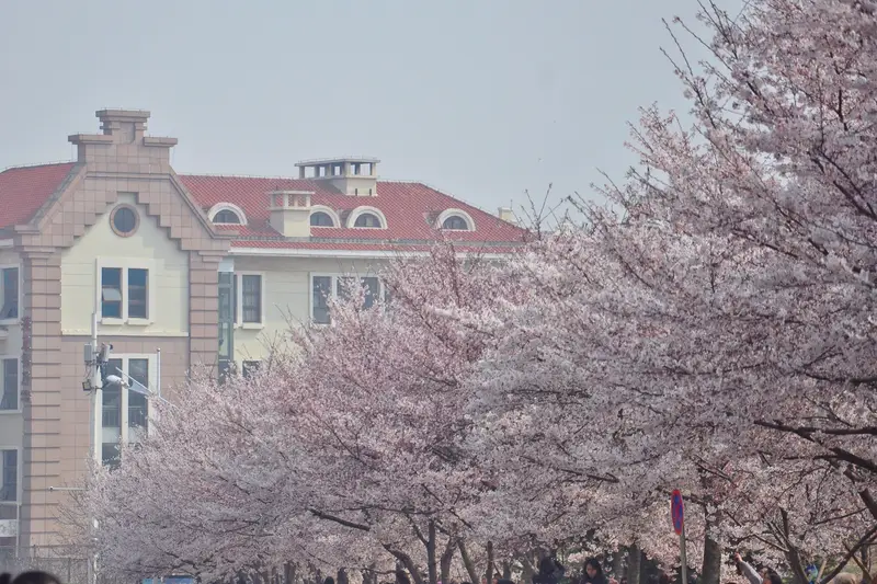 Ocean University Of China