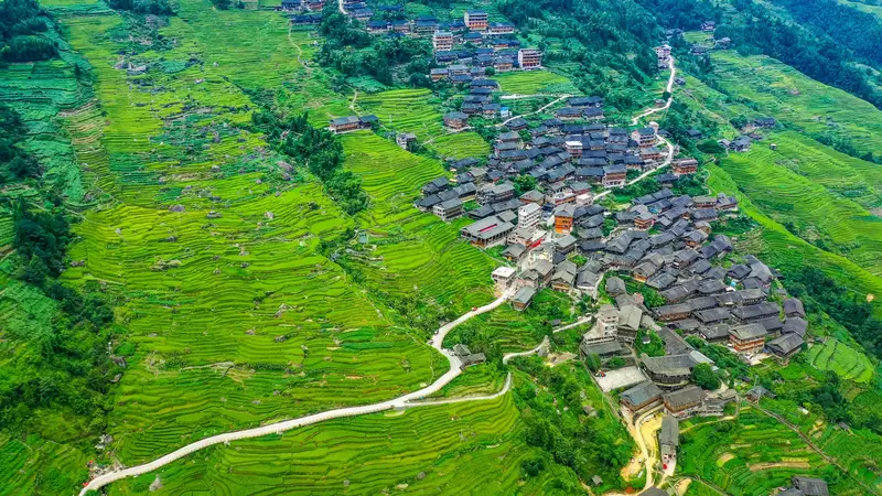 Longji Ancient Zhuang Village Rice Terrace Scenic Area
