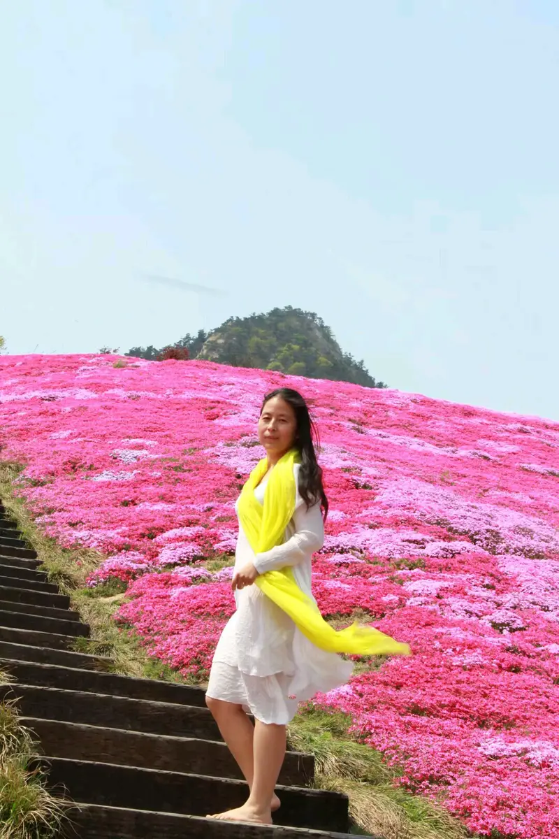 Laoshan Tea Garden Eco-Tourism Area