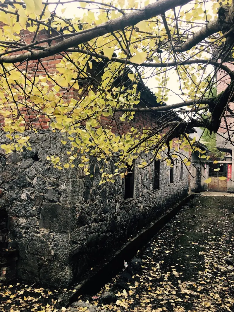 Jiulian Village