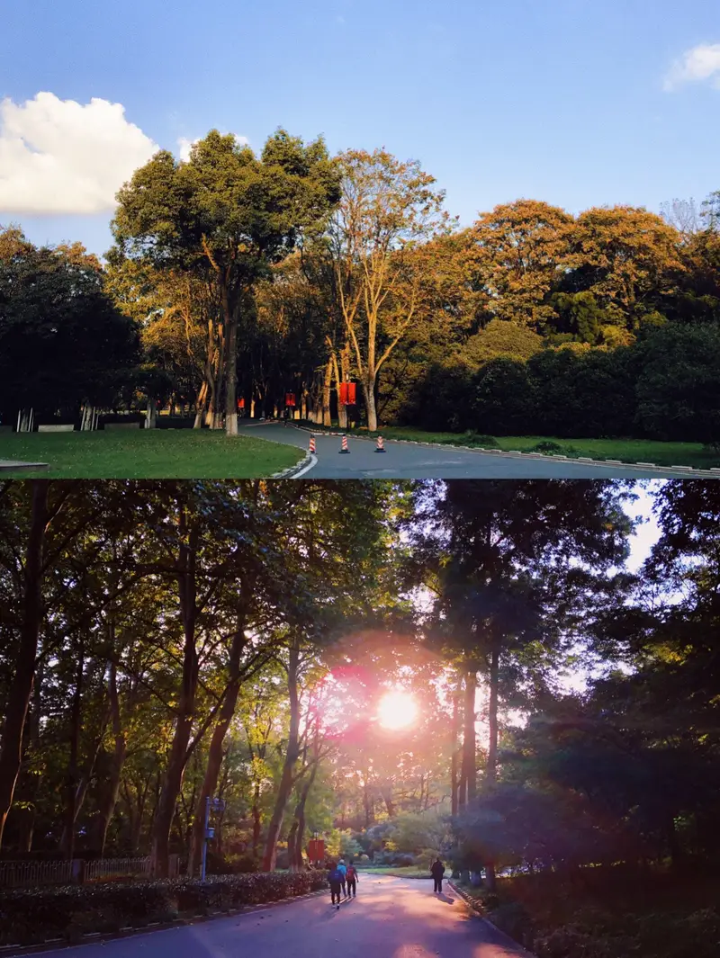 Zhongshan Scenic Area - Nanjing Zhongshan Botanical Garden - Rose Garden