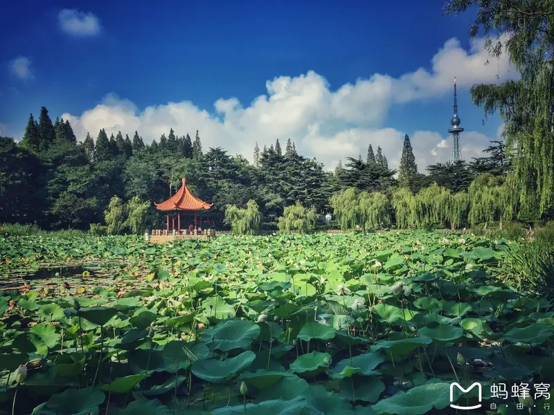 Zhongshan Park-Xiao West Lake