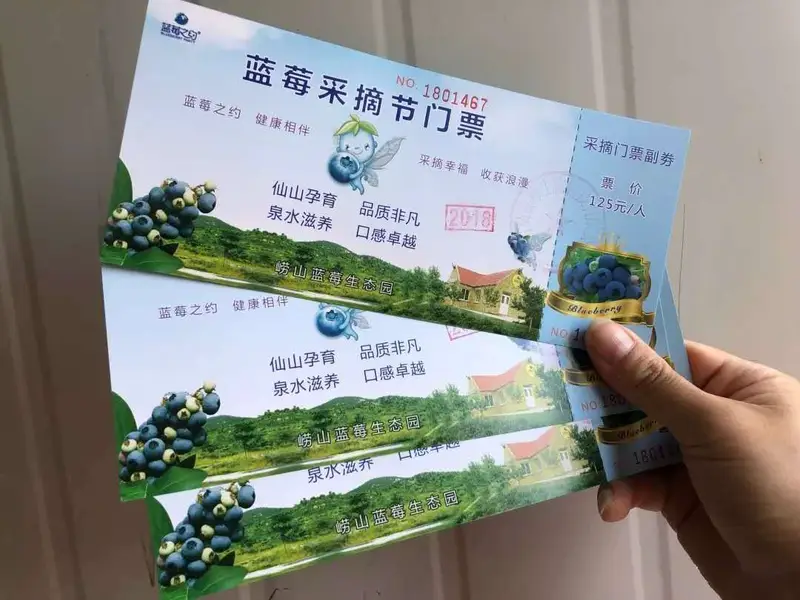 Laoshan Blueberry Ecological Park