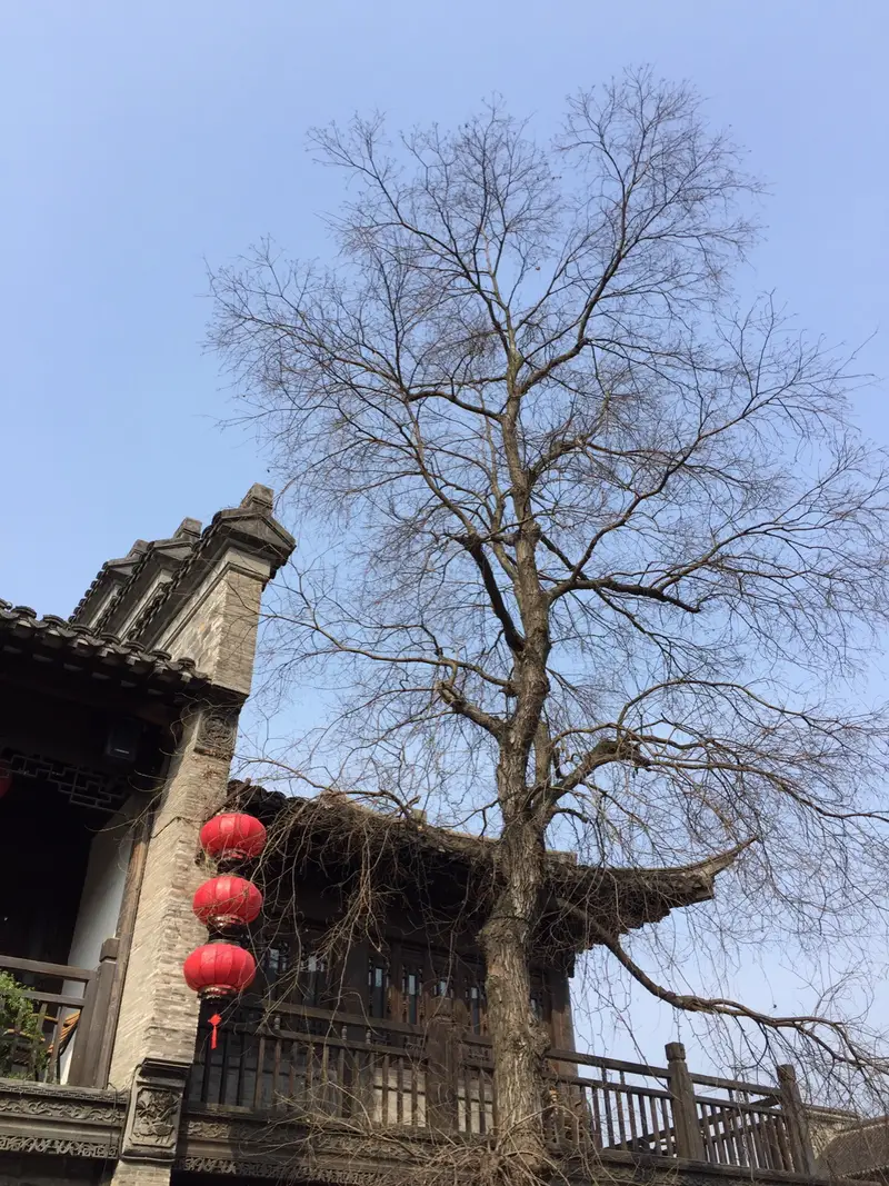 Nanjing Hexagonal Well