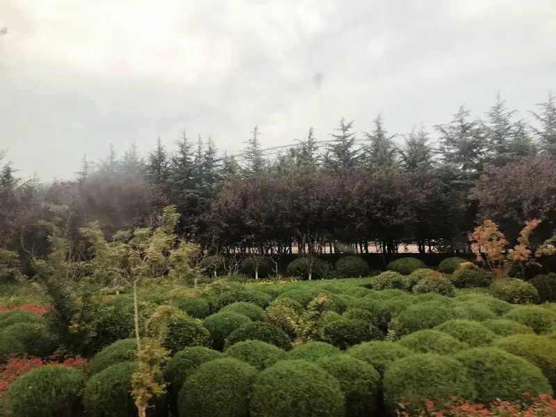 Yantai Sports Park