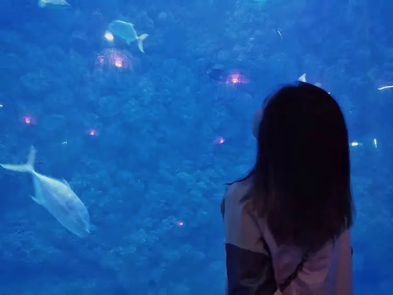 Marine Mammal Island