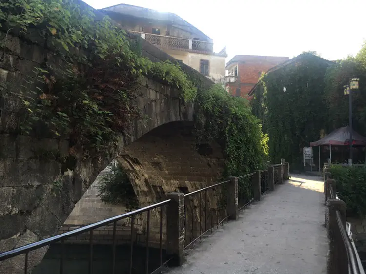 Longevity Bridge