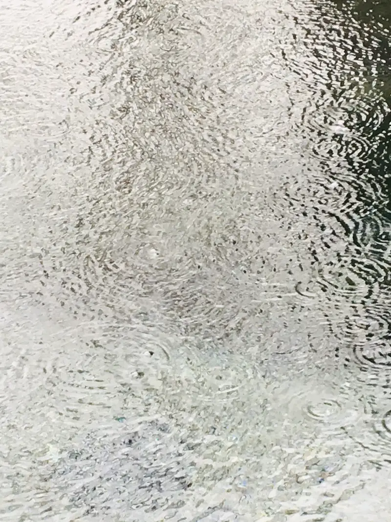Pearl Spring Park