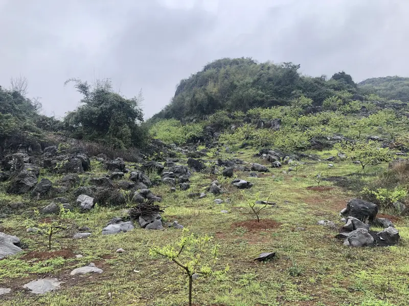 Dalingshan
