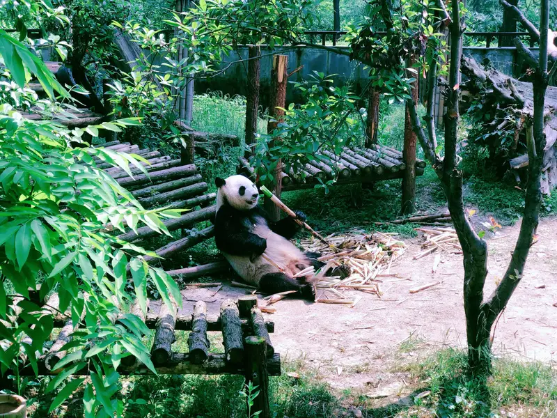 Anji Bamboo Exposition Garden
