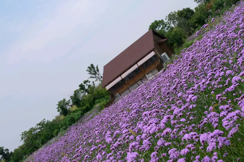 Chu River Scenic Belt