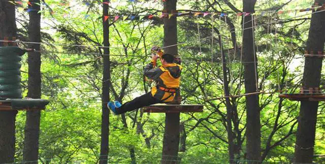 Adventure Forest