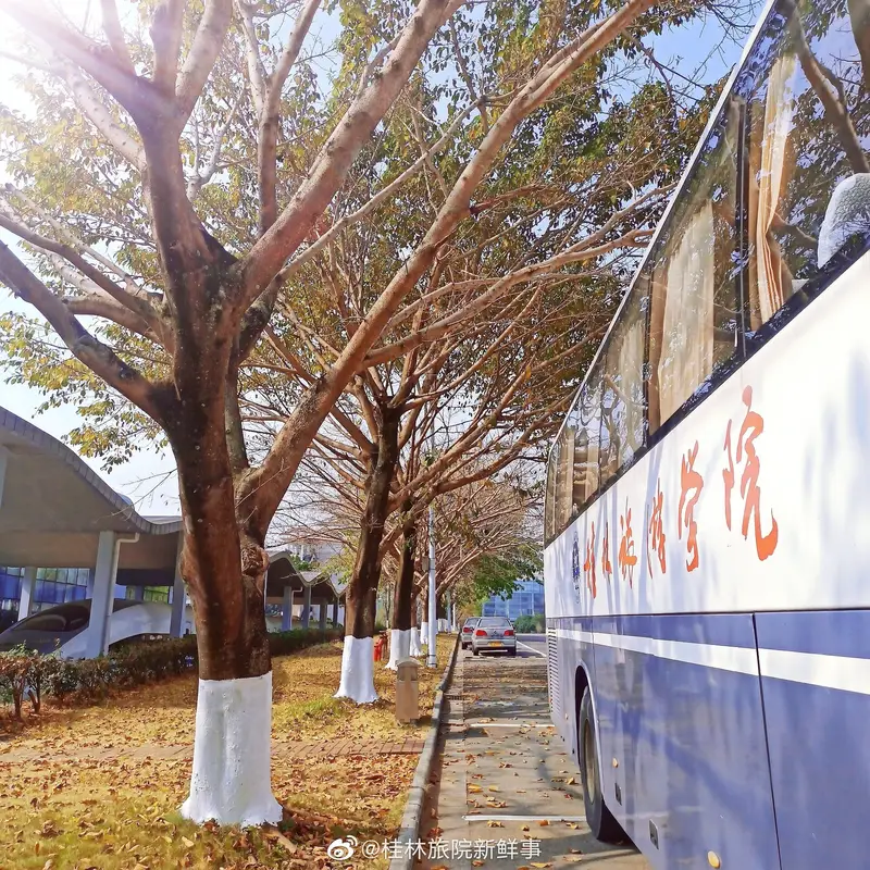Guilin Tourism College Yanshan Campus