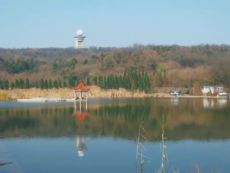Longwang Mountain Scenic Area