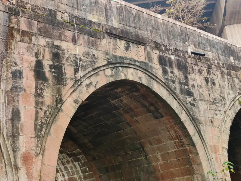 Longevity Bridge