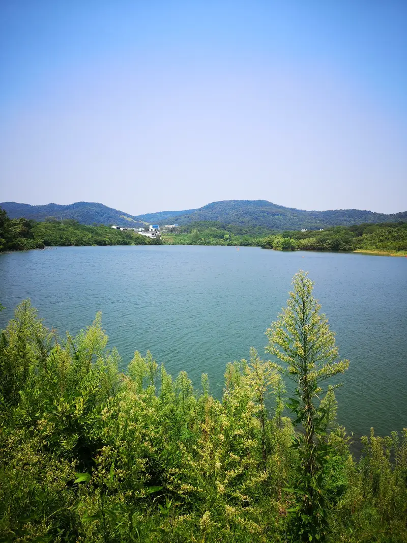 Buddha'S Hand Lake