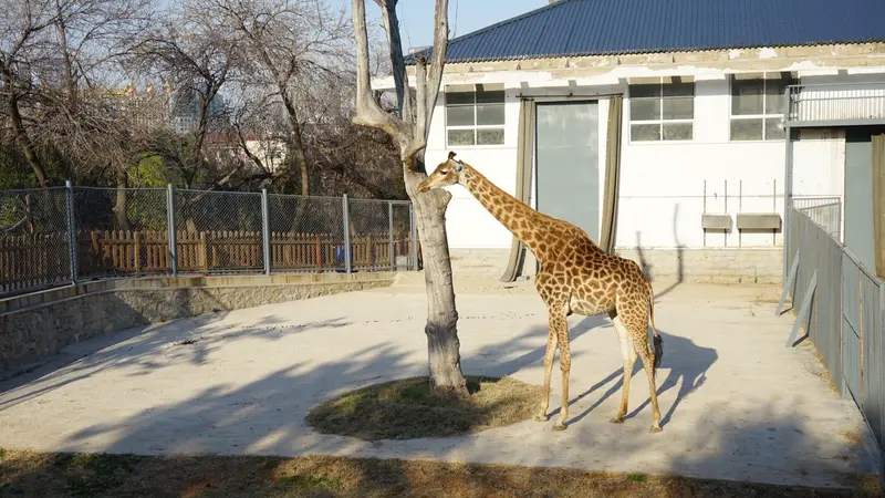 Nanshan Park Zoo
