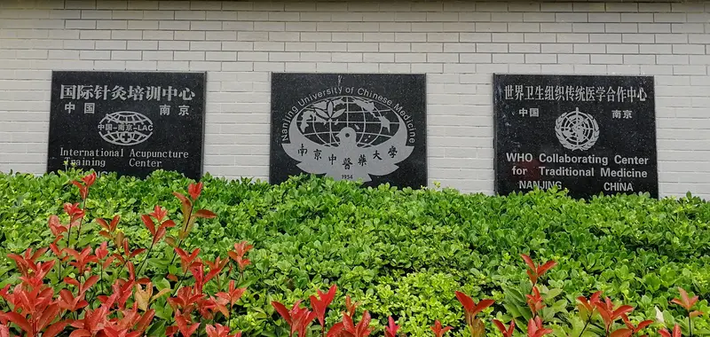 Nanjing University Of Chinese Medicine, Xianlin Campus, Jingwen Library