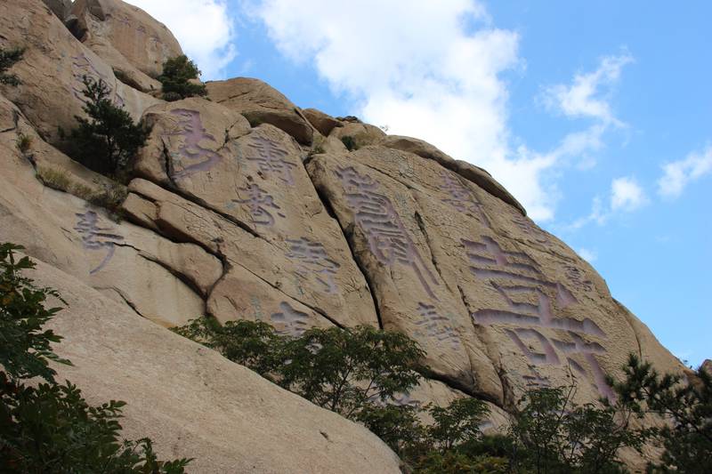 Longevity Peak