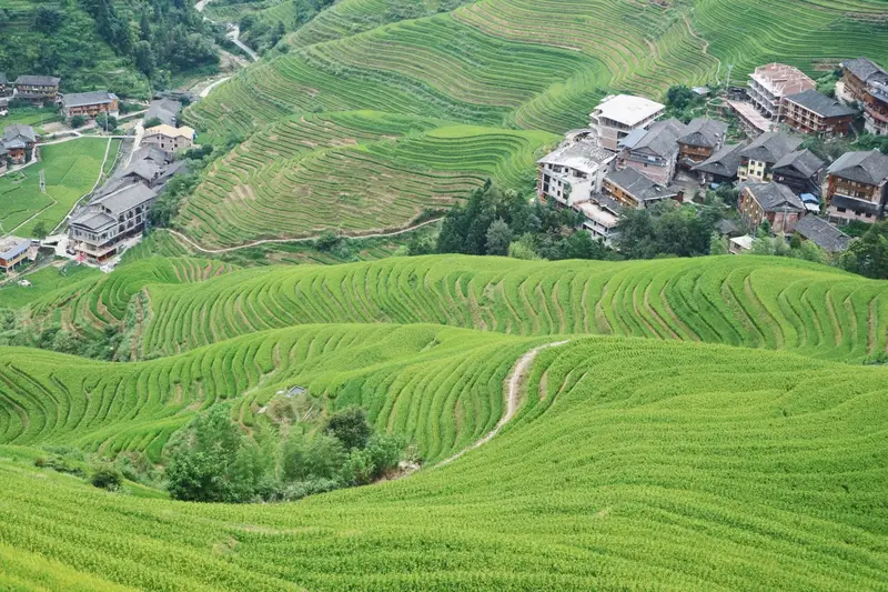 Longji Da Yao Zhai Terrace Scenic Area - No.2 Observation Deck