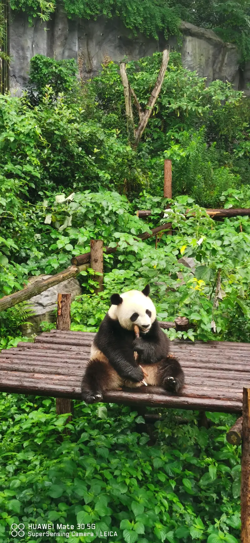 Nanjing Panda Pavilion