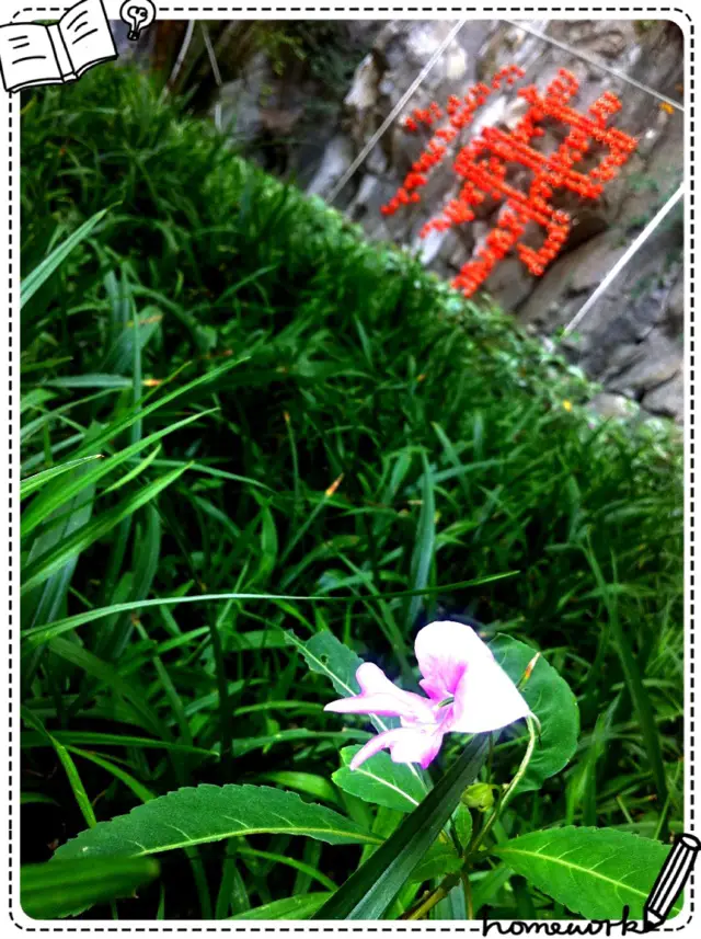 Chen Guang Martyr'S Cemetery