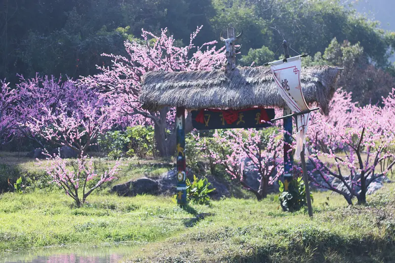 Taohuayuan Village