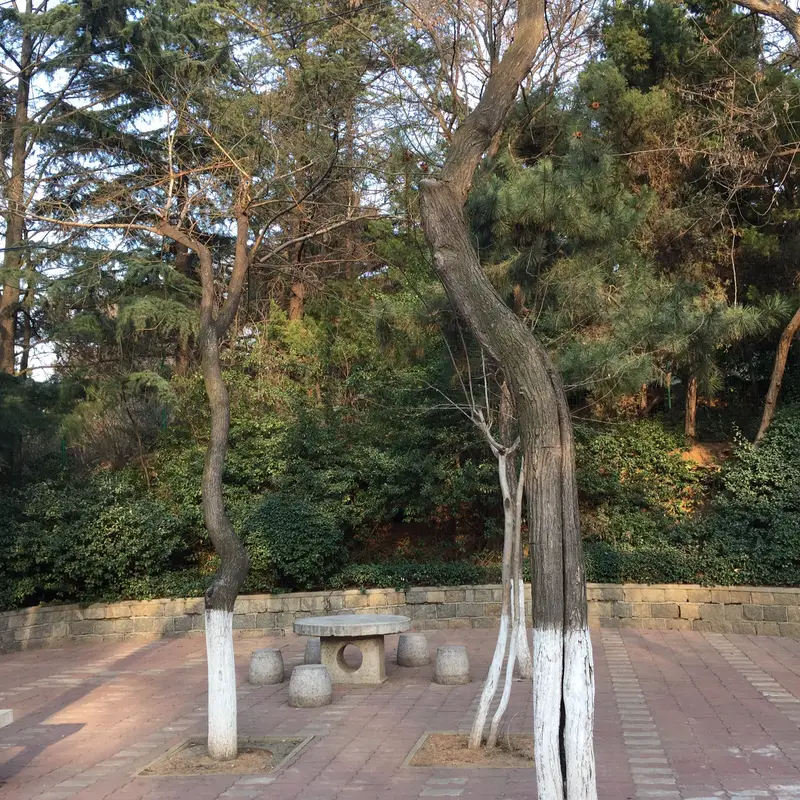 Nanshan Park