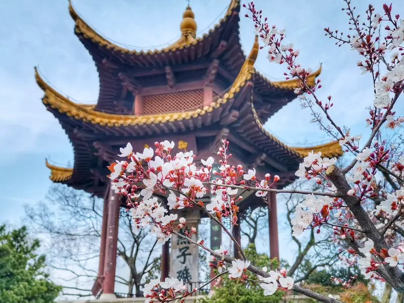 Yanziji Park