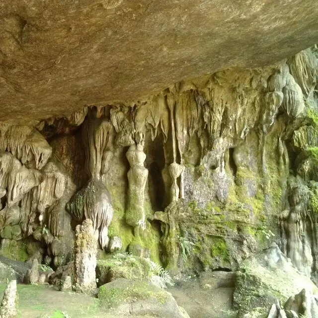 Golden Bell Mountain Scenic Area
