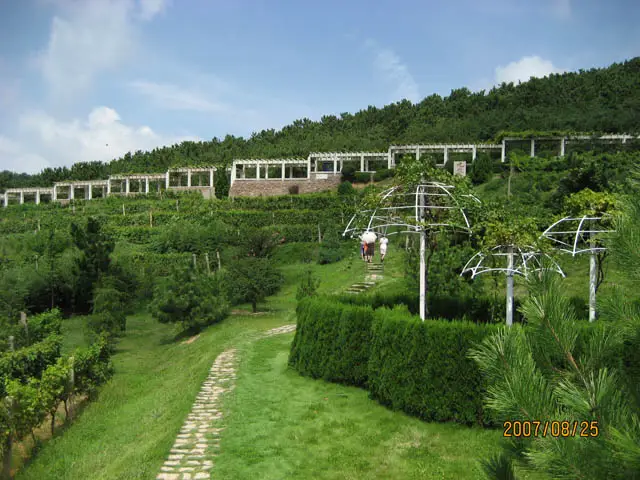 Qingdao Huadong Baili Winery
