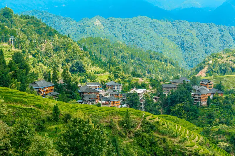 Jinkeng Rice Terraces
