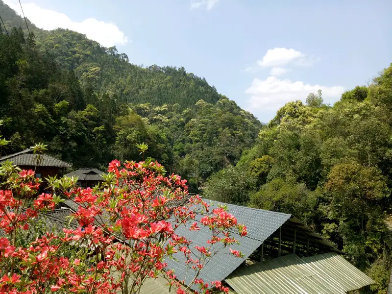 Datang Bay Health And Wellness Scenic Area