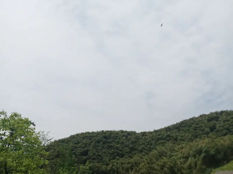 Lingfeng Mountain Scenic Area