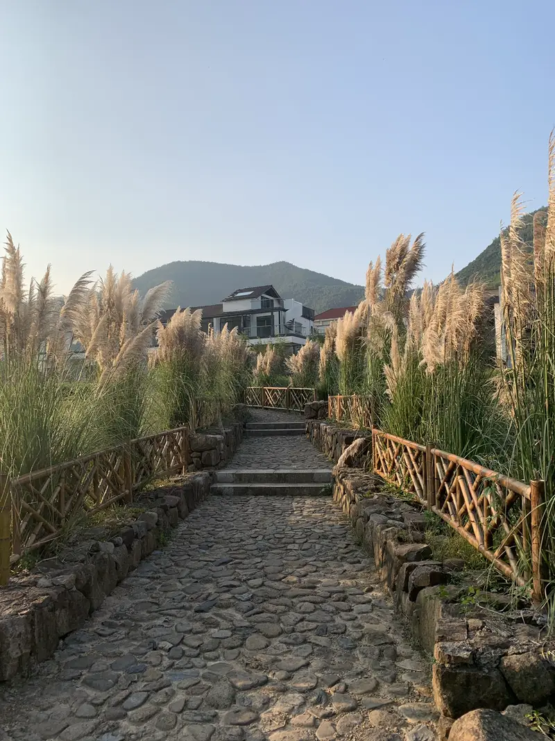 Anji Yucun Scenic Area