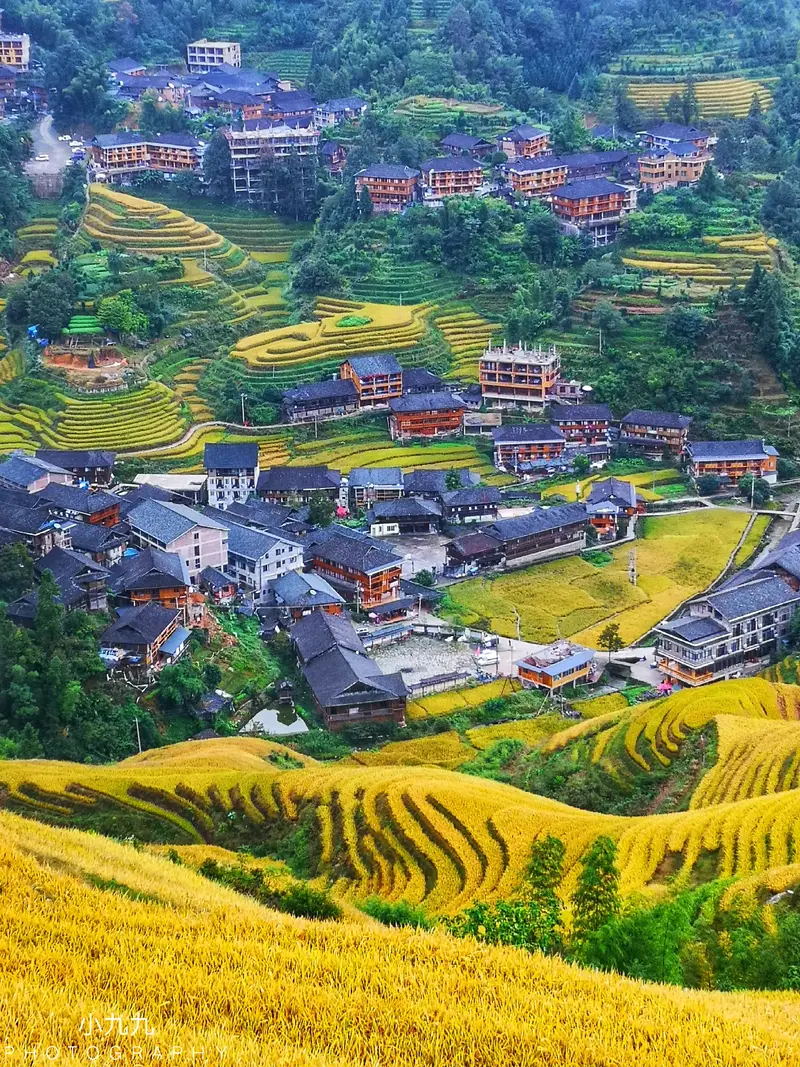 Longji Dazhai