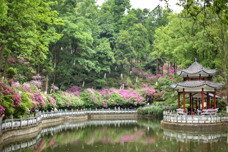 Chinese Academy Of Sciences, Guilin Botanical Garden