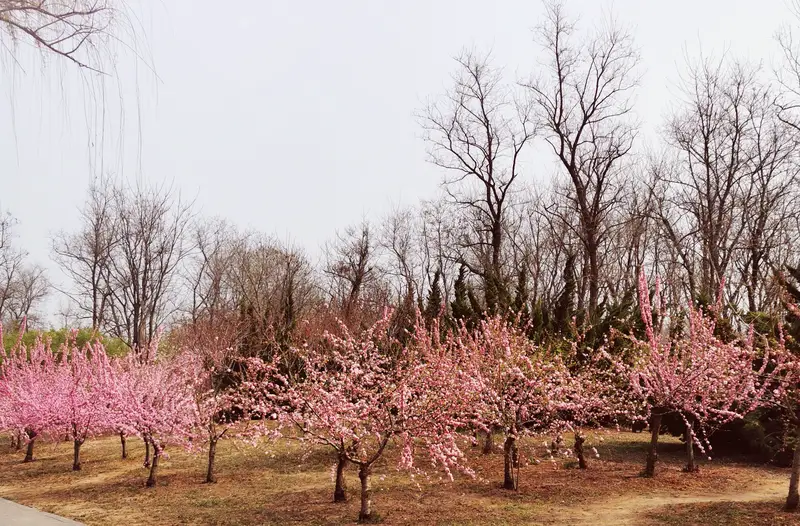 Jiahe Ecological Park