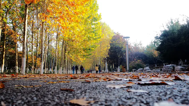 Tai Ping Jiao Park