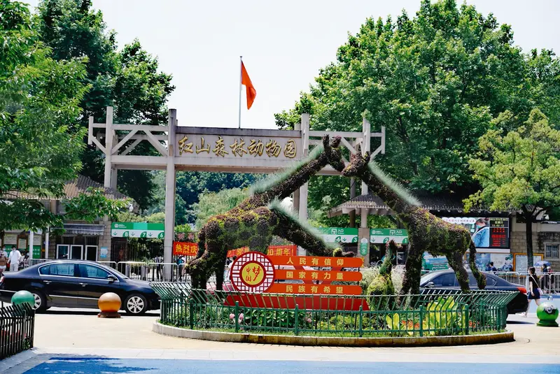 HongShan Forest Zoo