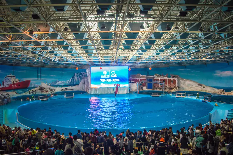 Qingdao Haichang Polar Ocean Park