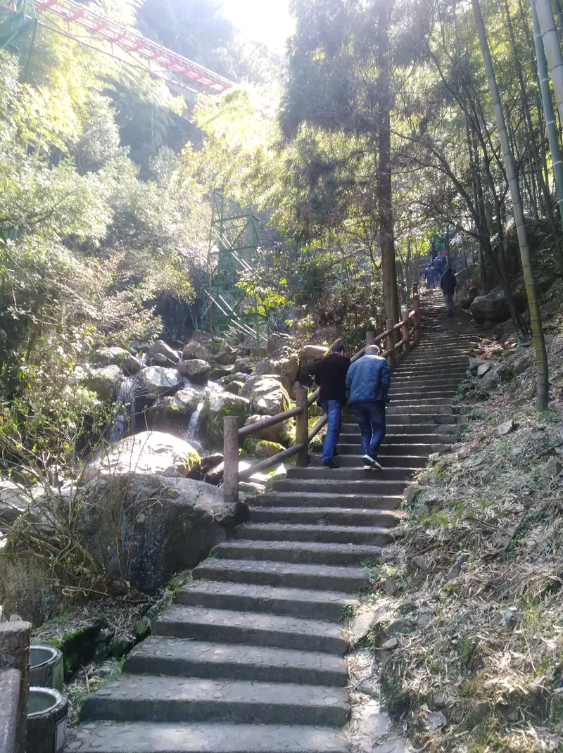 Zanglong Hundred Waterfalls Millennium Ginkgo