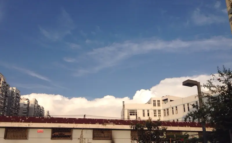 Xiaoying Cun